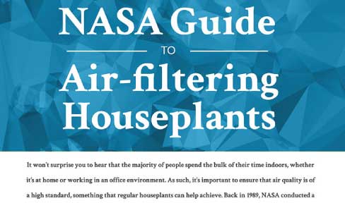 Air Filtering Guide